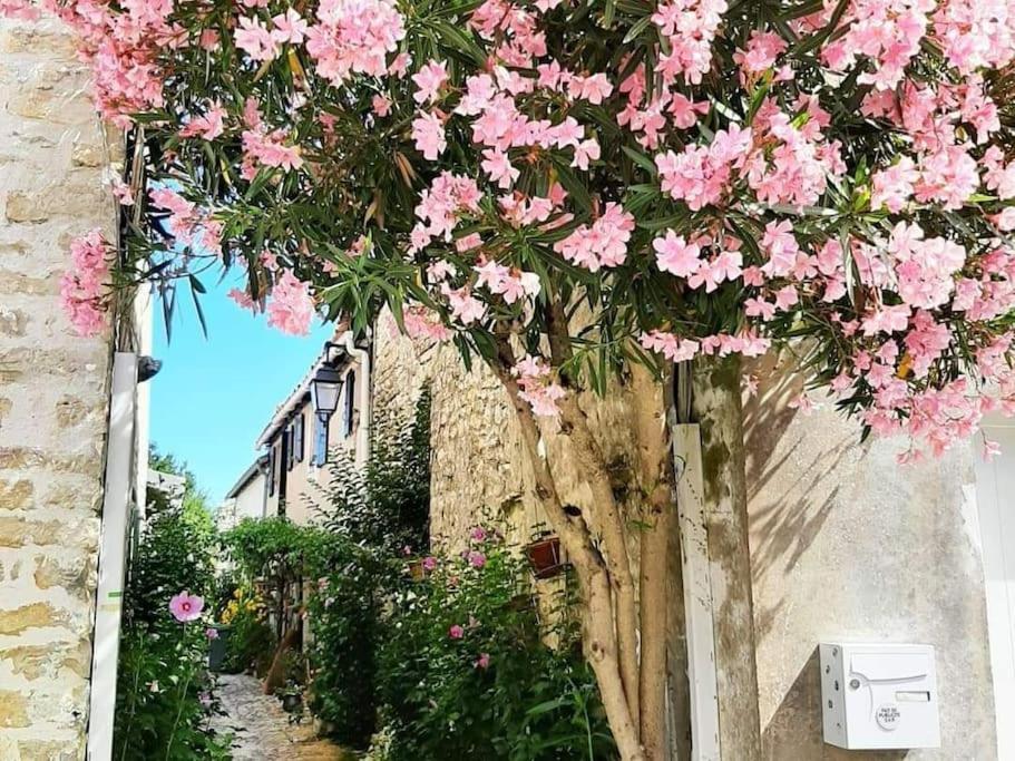 Delicieux Moment De Detente Au Coeur De Martin De Re Apartment *