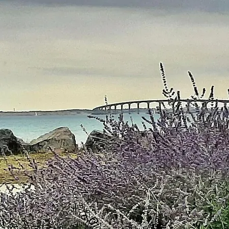 Délicieux moment de détente au coeur de Saint Martin de Ré Extérieur photo